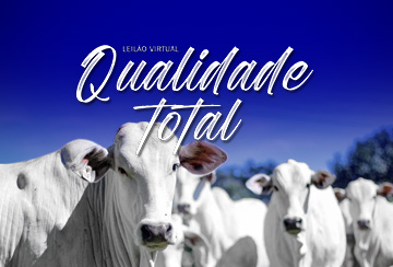 LEILÃO VIRTUAL QUALIDADE TOTAL